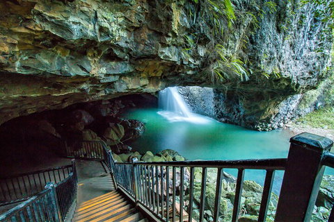 Springbrook Full Day Tour - Accommodation 4U 4