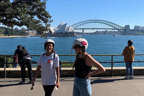 The Sydney Express - Accommodation 4U 1