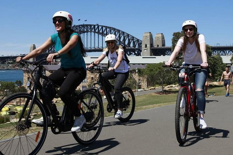 The Sydney Express - Accommodation 4U 3