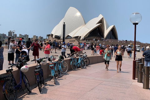 The Sydney Express - Accommodation 4U 4