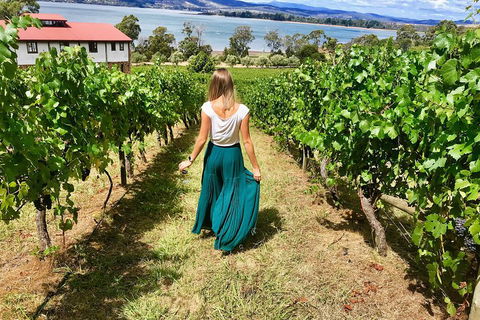Tamar Valley Wine Tour With Lunch - Accommodation 4U 2