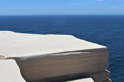 Royal National Park Tour - Accommodation 4U 0