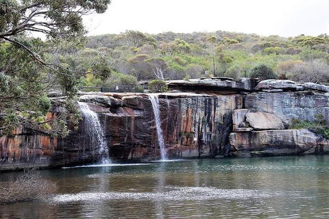 Royal National Park Tour - Accommodation 4U 1