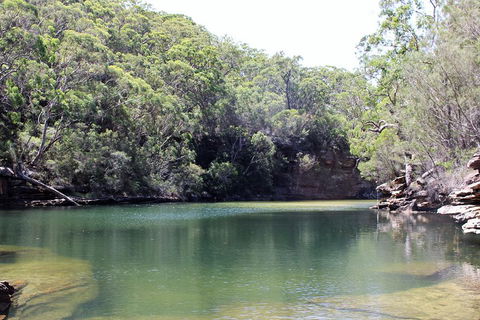 Royal National Park Tour - Accommodation 4U 5