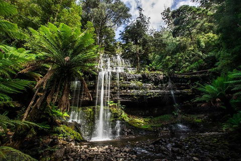 3-Day Tour To The Falls, Mountains, Lake & More Of West Coast Tasmania - Accommodation 4U 4