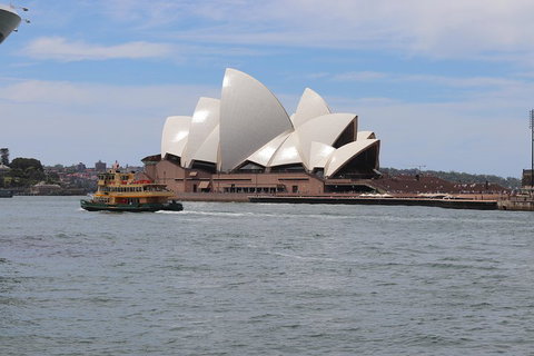 Private Sydney City And Bondi Beach Half Day Tour - Accommodation 4U 5