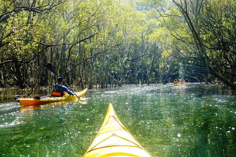 Self-Guided Sydney Middle Harbour Kayak 3 Hour Tour By Double Kayak - Accommodation 4U 3