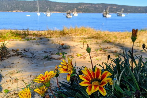 Central Coast Explorer With 'Personalised Sydney Tours' - Accommodation 4U 2