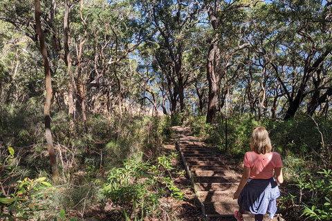 Central Coast Explorer With 'Personalised Sydney Tours' - Accommodation 4U 4