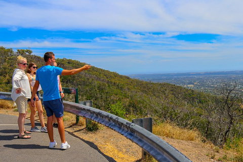 [Private Tour] Mornington Peninsula Family, Maze And Fun! - Accommodation 4U 0