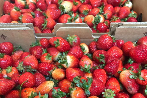 [Private Tour] Mornington Peninsula Family, Maze And Fun! - Accommodation 4U 2