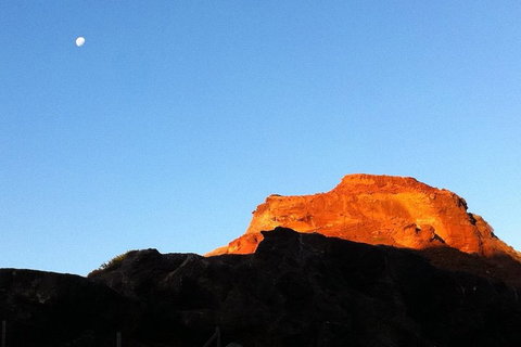 [Private Tour] Mornington Peninsula Family, Maze And Fun! - Accommodation 4U 4