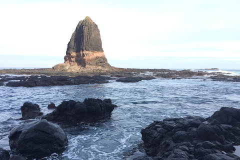 [Private Tour] Mornington Peninsula Family, Maze And Fun! - Accommodation 4U 5