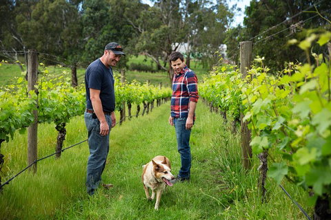 LGBT+ Friendly Full Day Yarra Valley & Dandenong Ranges Private Tour - Accommodation 4U 4