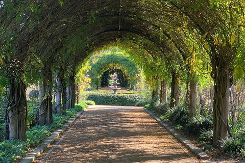 LGBT+ Friendly Full Day Yarra Valley & Dandenong Ranges Private Tour - Accommodation 4U 5