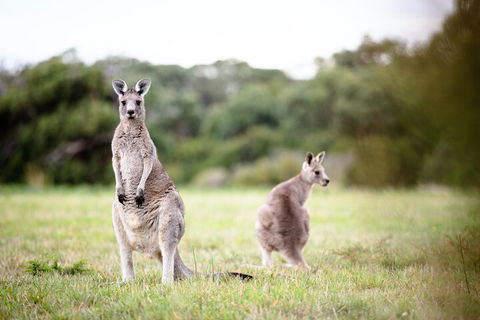 LGBT+ Friendly 3 Day Tour The Grampians, Daylesford & Ballarat - Accommodation 4U 2
