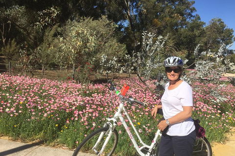 Perth Bike Tour - Beautiful Matilda Bay And Kings Park - Accommodation 4U 1