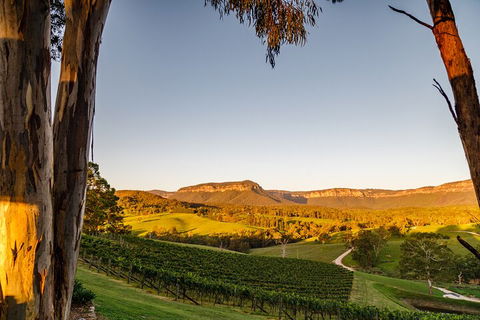 Taste Of The Blue Mountains - Lunch & Wine Tasting, Beer, Cider & Gin Tasting - Accommodation 4U 1