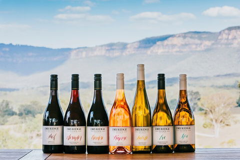 Taste Of The Blue Mountains - Lunch & Wine Tasting, Beer, Cider & Gin Tasting - Accommodation 4U 3