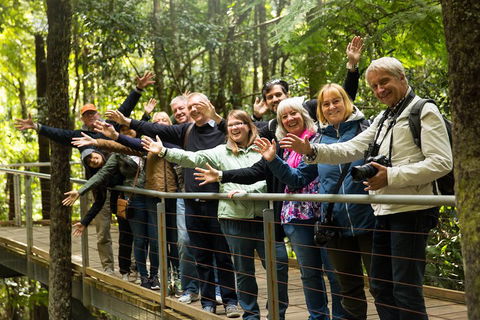 All Inclusive Blue Mountains Small-Group Day Trip From Sydney - Accommodation 4U 5