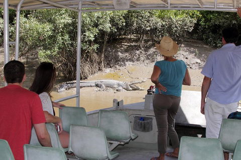 Whitsunday Crocodile Safari Including Lunch - Accommodation 4U 4