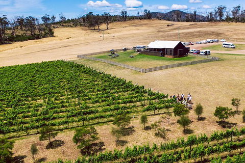 Tasmanian Wine Tour - Accommodation 4U 3