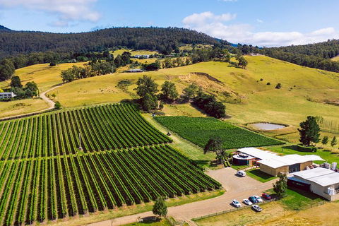 Tasmanian Wine Tour - Accommodation 4U 4