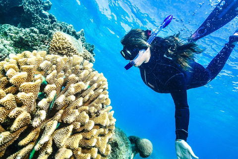 Green Island Day Trip From Cairns - Accommodation 4U 1