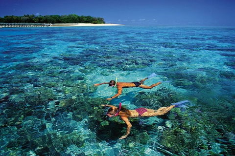 Green Island Day Trip From Cairns - Accommodation 4U 5