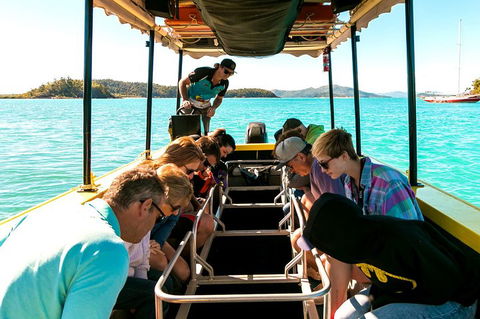 Airlie Beach Glass Bottom Boat Tour - Accommodation 4U 1