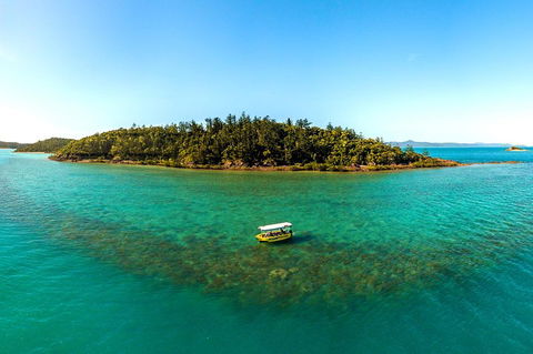 Airlie Beach Glass Bottom Boat Tour - Accommodation 4U 3