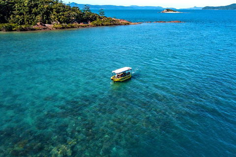 Airlie Beach Glass Bottom Boat Tour - Accommodation 4U 4