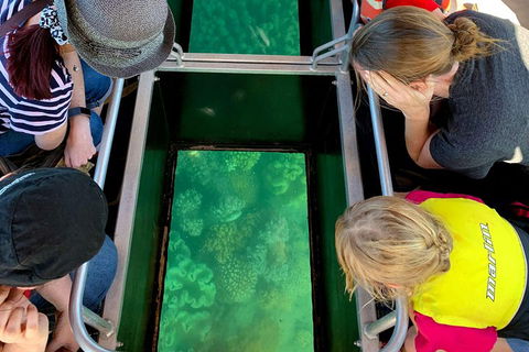 Airlie Beach Glass Bottom Boat Tour - Accommodation 4U 5
