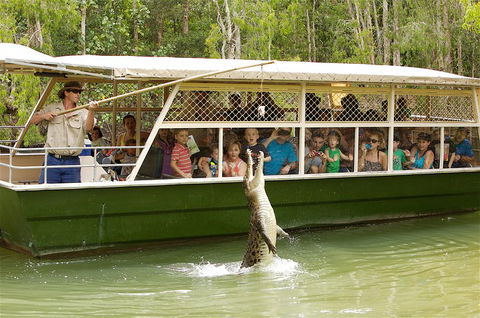 Hartley's Crocodile Adventure Half-Day Tour - Accommodation 4U 0