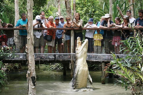 Hartley's Crocodile Adventure Half-Day Tour - Accommodation 4U 1