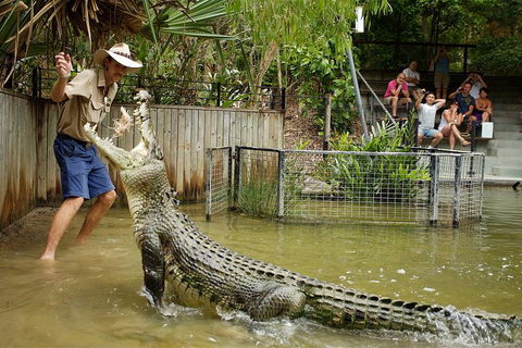 Hartley's Crocodile Adventure Half-Day Tour - Accommodation 4U 2