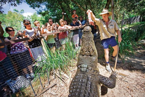 Hartley's Crocodile Adventure Half-Day Tour - Accommodation 4U 4