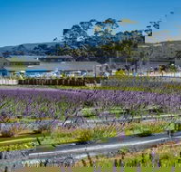 Private Hobart Discover South East Food and Scenic Tour - Accommodation 4U
