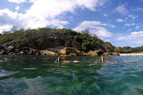 Manly And Shelly Beach Snorkeling Tour - Accommodation 4U 4