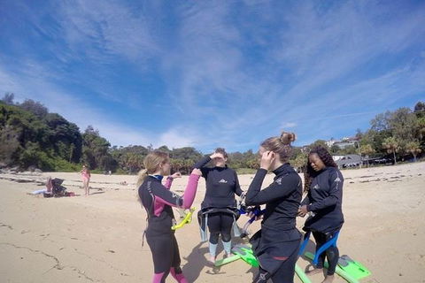 Manly And Shelly Beach Snorkeling Tour - Accommodation 4U 5
