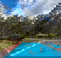 Tahune Airwalk Active Day Trip from Hobart Including Hastings Caves - Accommodation 4U
