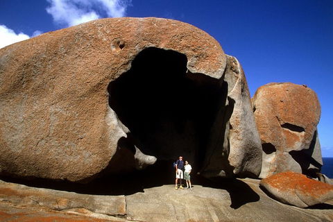 Full-Day Kangaroo Island Safari From Penneshaw - Accommodation 4U 0
