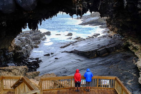 Full-Day Kangaroo Island Safari From Penneshaw - Accommodation 4U 1