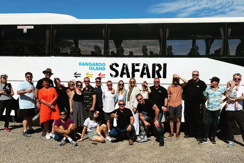 Full-Day Kangaroo Island Safari From Penneshaw - Accommodation 4U 4