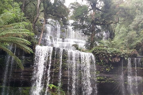 6-Day Hearty Tasmania Tour (Tasmania In A Circle) - Accommodation 4U 0