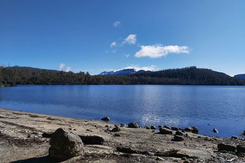 6-Day Hearty Tasmania Tour (Tasmania In A Circle) - Accommodation 4U 1