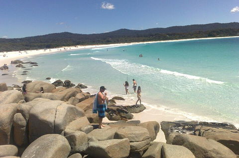 6-Day Hearty Tasmania Tour (Tasmania In A Circle) - Accommodation 4U 3