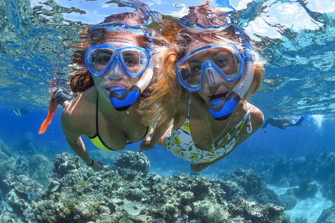 Great Barrier Reef Snorkeling And Diving Cruise From Cairns - Accommodation 4U 3