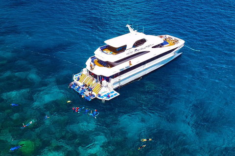 Great Barrier Reef Snorkeling And Diving Cruise From Cairns - Accommodation 4U 5