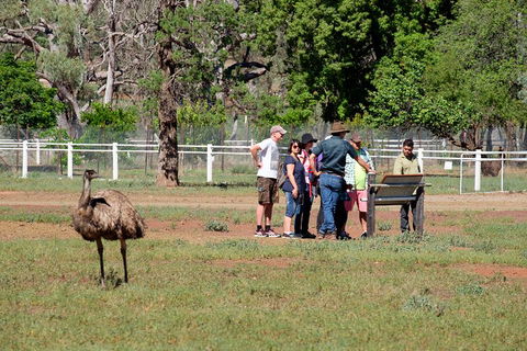 Yura Udnyu - Our Culture, Your Culture (Aboriginal Cultural Walk) - Accommodation 4U 1